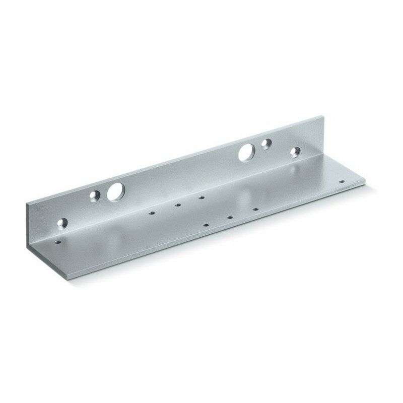 

Mandril de caída plateado para TS 2000 - Geze