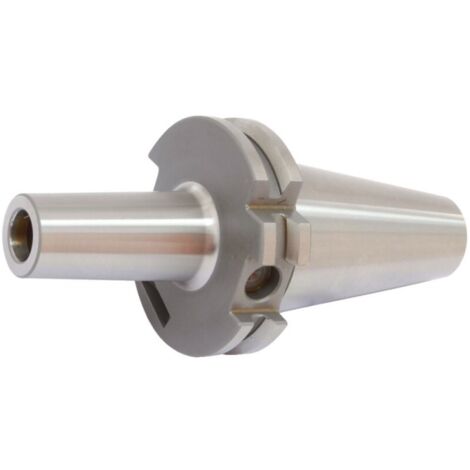 Mandrin D69871AD SK40-100mm M12