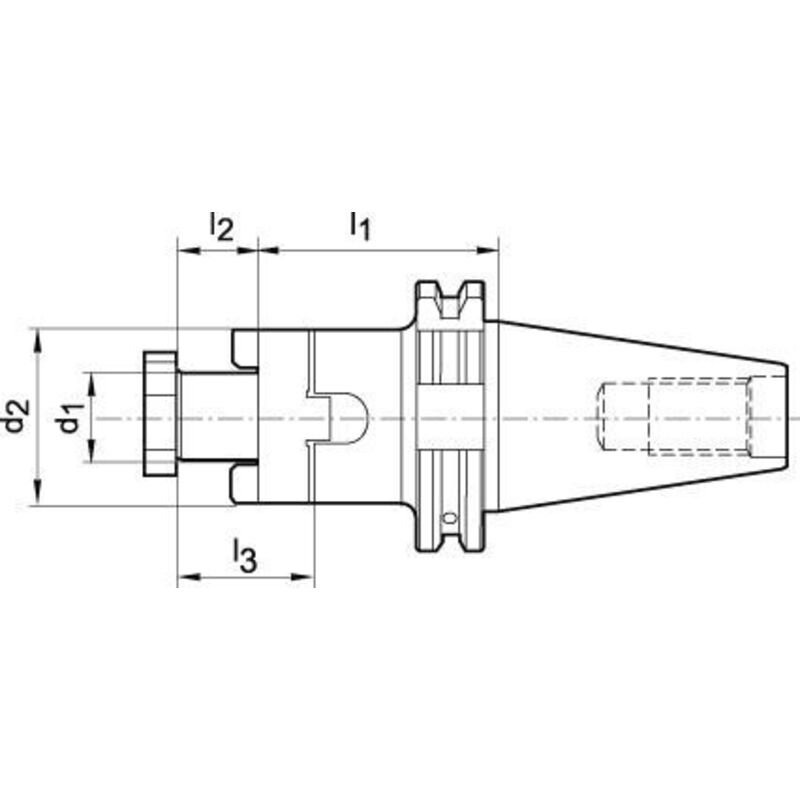 Fortis - Mandrin universel A100 SK50 22mm