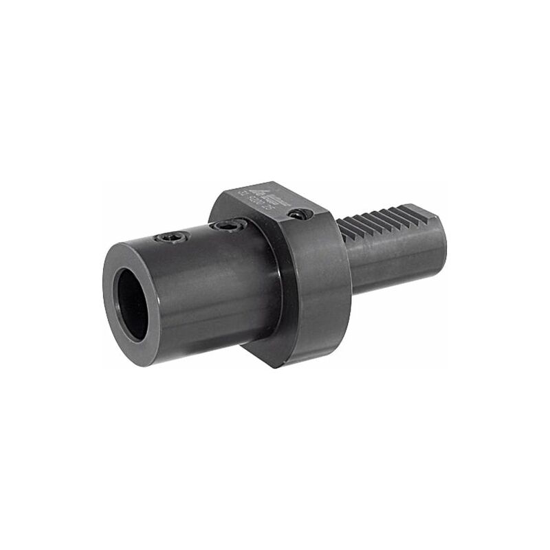 Mandrino portapunta a inserti Forma E1 vdi 50