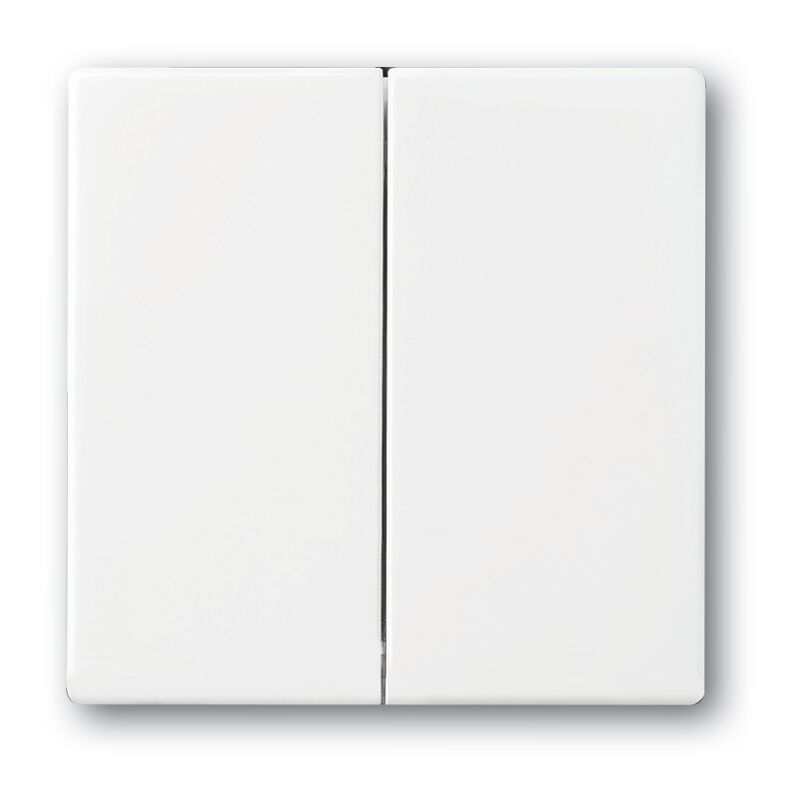 Busch-jaeger - 1785-24 g interrupteur à bascule canne réglable