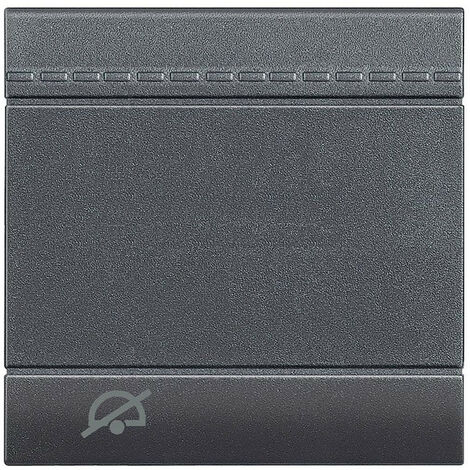 Manette Livinglight avec symbole Ne Pas Déranger 2 modules anthracite BTICINO L4915M2DD