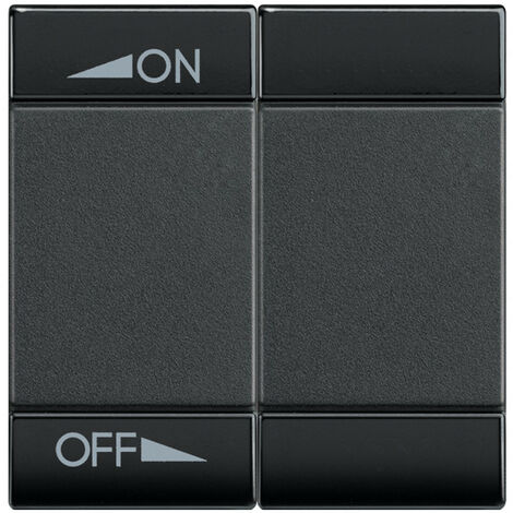 Manette Livinglight MyHOME BUS diff sonore variation 2 mod anthracite BTICINO L4911M2AIN