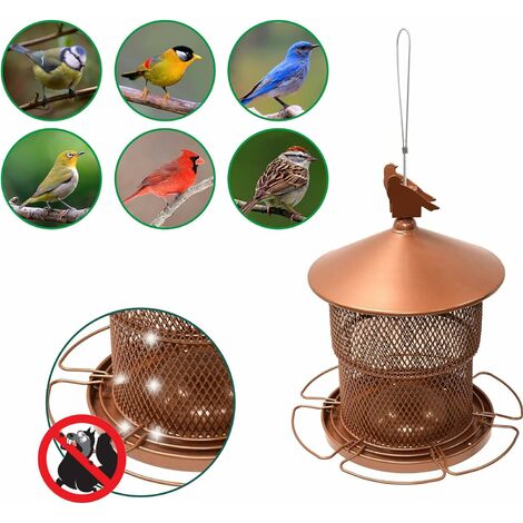 Mangeoire À Oiseaux Suspendue Pour Graines De Jardin Protection Anti- R