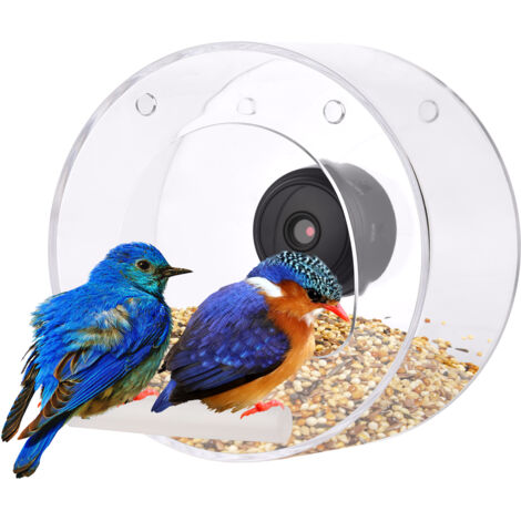 Mangeoire à oiseaux avec fenêtre transparente avec ventouse pour caméra Wifi, mangeoire ronde transparente intelligente avec carte TF de 16 Go, prise de photos, enregistrement vidéo, vision nocturne i