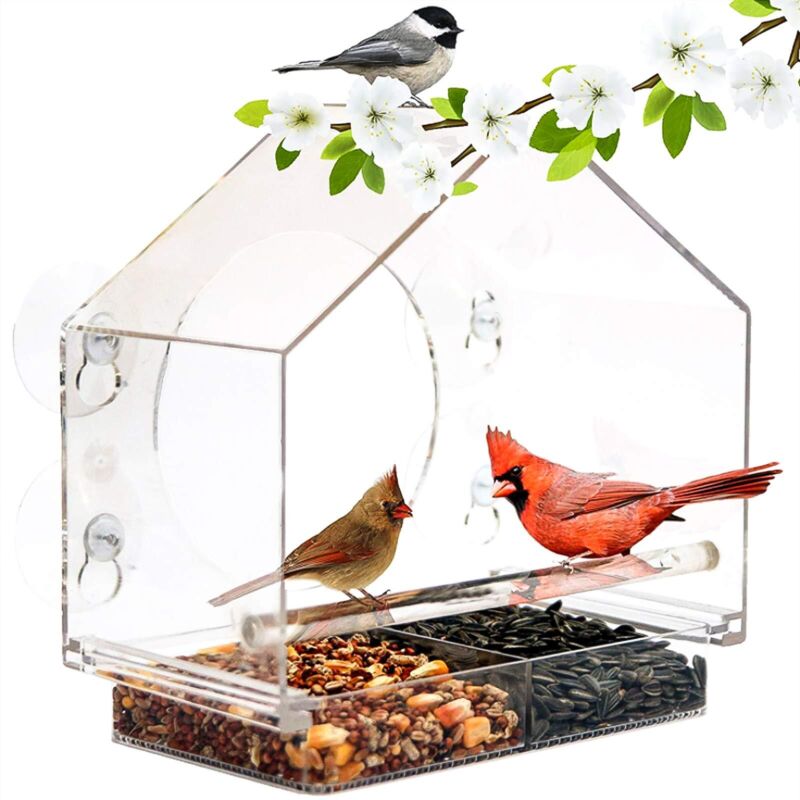 Mangeoire à Oiseaux en Acrylique Mangeoire à Oiseaux pour Fenêtre Transparent Mangeoire de Fenêtre avec 4 Ventouses et Bac à Semences Amovible