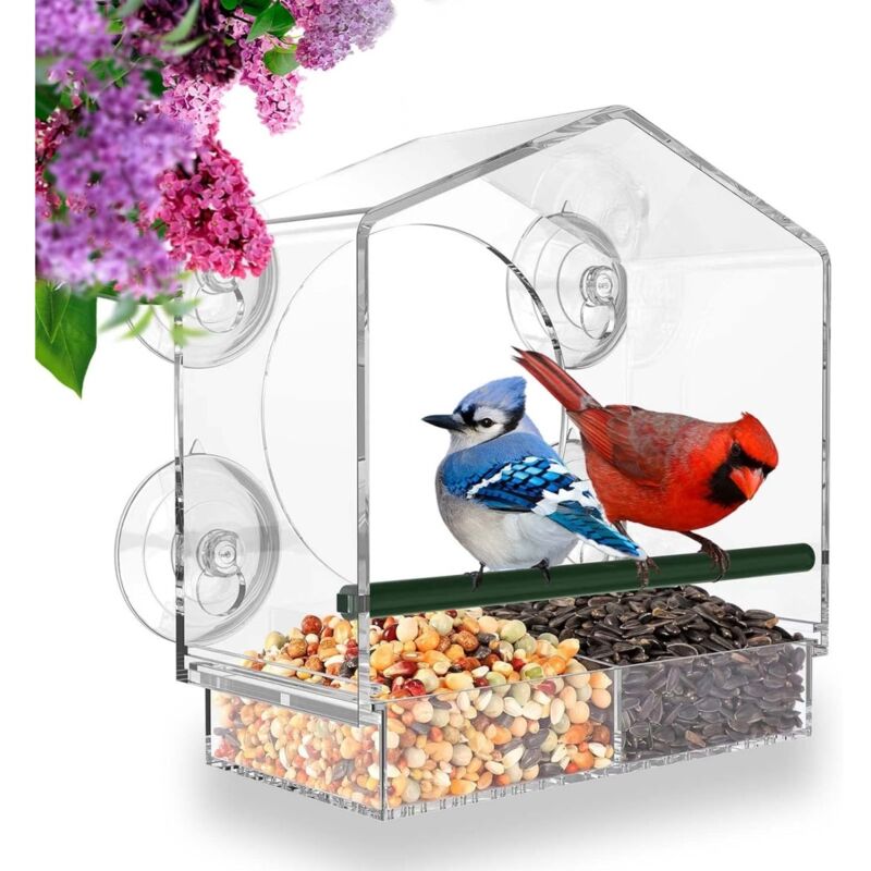 Mangeoire à oiseaux pour fenêtre - 20 x 21 cm - Nichoir transparent - Avec ventouse et perchoir - Station d'alimentation adaptée aux oiseaux