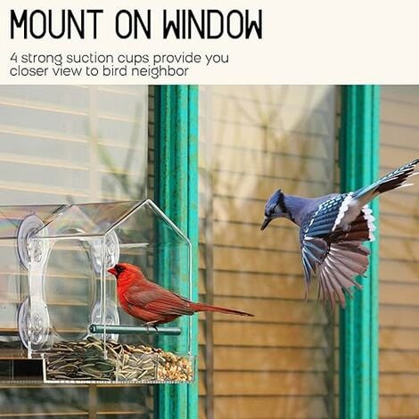 Mangeoire à oiseaux avec fenêtre transparente, grande niche d'extérieur  résistante aux intempéries avec ventouses puissantes, plateau amovible pour
