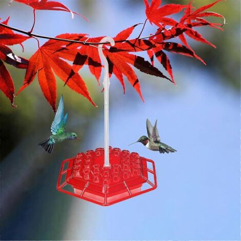 Mangeoire hexagonale pour colibris, à suspendre à l'extérieur, résistante aux fourmis et aux abeilles, bleue.