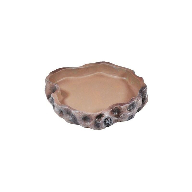 Mangeoire large pour terrarium, reptiles et lézards