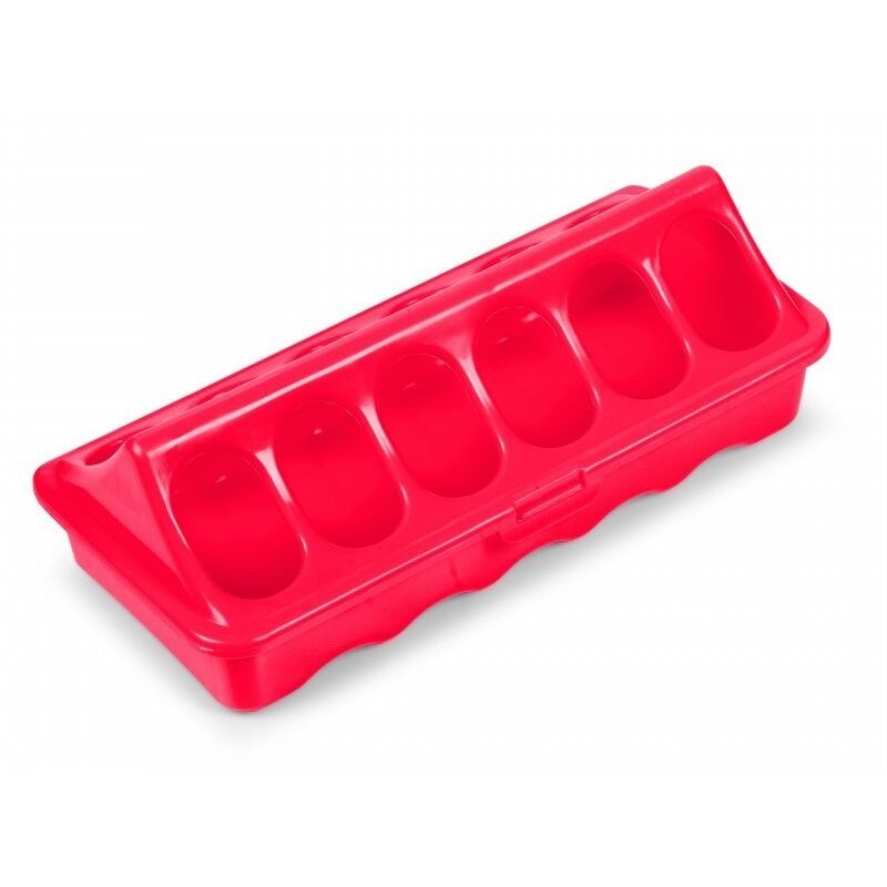 Mangeoire plastique premier âge poussins (x20)