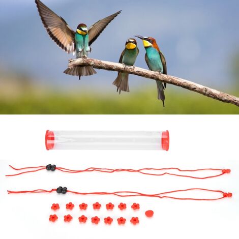 Mangeoire pour Oiseaux Tube Transparent Suspendue Horizontalement de 30cm pour Colibris avec Ports Fleuris et Ropes de Fixation