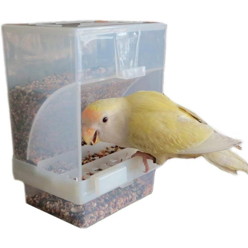 Mangeoires automatiques pour oiseaux, mangeoires soignées pour animaux de compagnie, conteneurs de nourriture pour graines, accessoires de cage pour