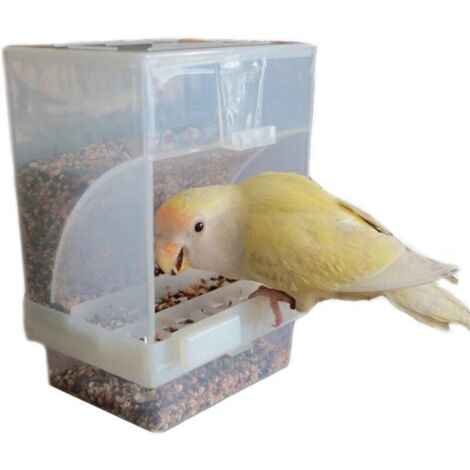 Mangeoires automatiques pour oiseaux, mangeoires soignées pour animaux de compagnie, conteneurs de nourriture pour graines, accessoires de cage pour perruches, canaris, calopsittes, pinsons, perruches