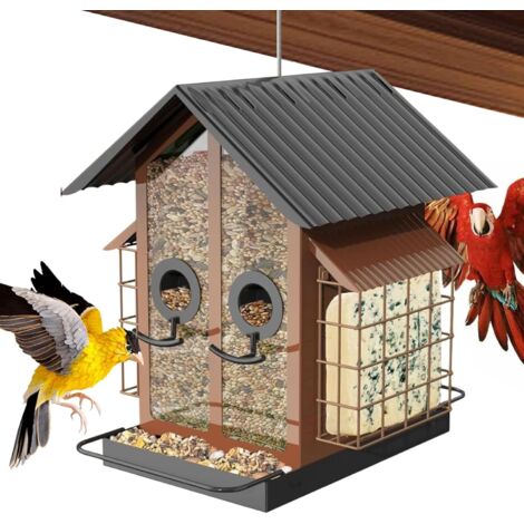 Mangeoires pour Oiseaux d'Extérieur - Mangeoires À Oiseaux Transparentes