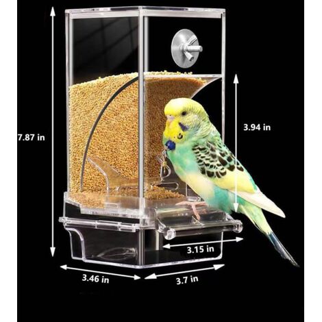 Mangiatoia automatica per uccelli, mangiatoia per parrocchetti con trespolo, contenitore per semi sospeso e antisporco per pappagalli, parrocchetti, canarini, calopsitte e fringuelli