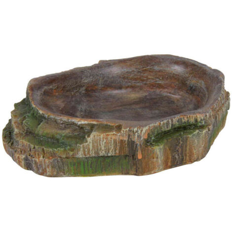 Mangiatoia Trixie 10 × 2,5 × 7,5 CM Rettili