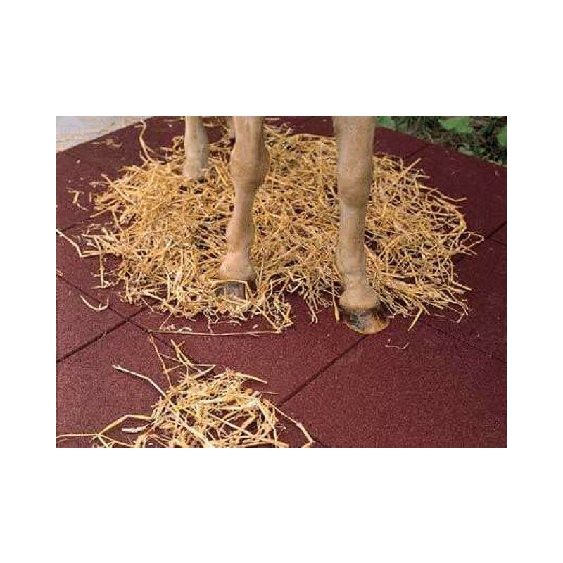 

Pavimento de caballos para duchas 50x50 cm 2 y 4cm de espesor - Mugar