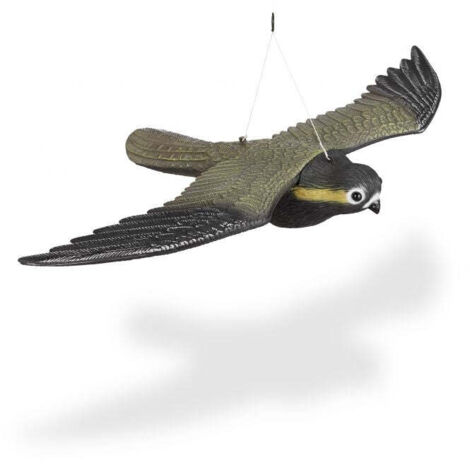 Manichino di falco rapace 883