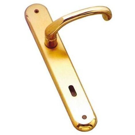 Maniglia Giada con Placca Foro Patent