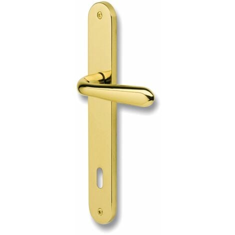 GHIDINI Maniglia Gm05 Foro Patent Zgctol