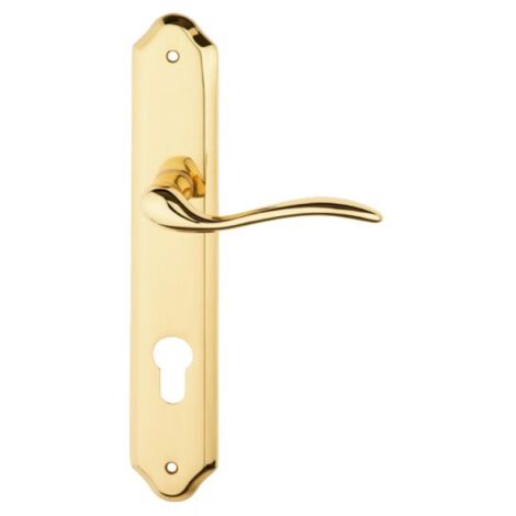 Maniglia minorca con placca foro yale oro lucido