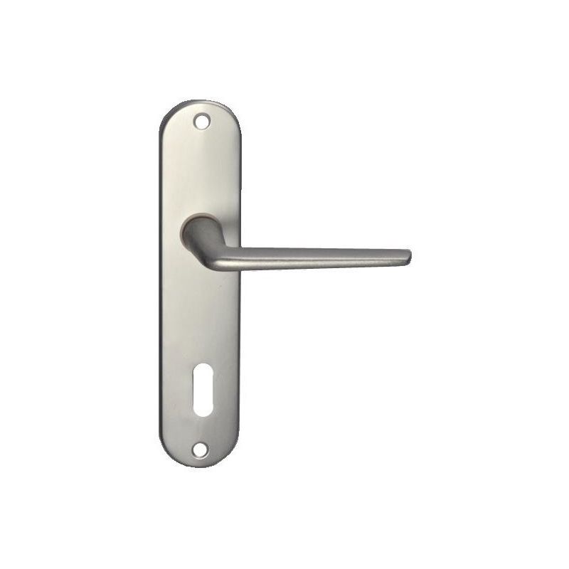 Image of Klose Besser - Maniglia per porta su placca in alluminio, modello 'Mini' Trou petite clé