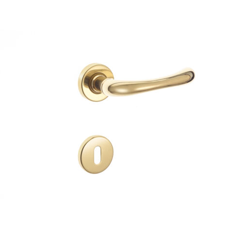 Maniglia sette con rosette in ottone lucido