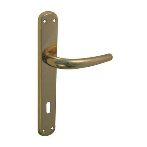 maniglia con placca per porte interne goccia 8/70 ottone lucido