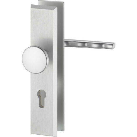Manija de la puerta. 8624.e72