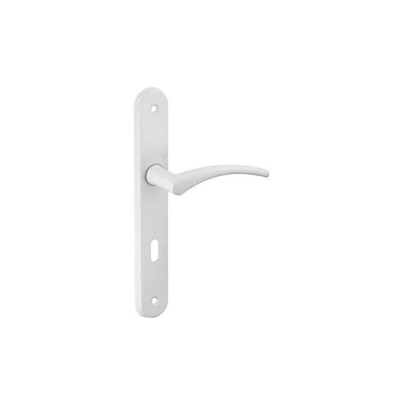 

Thirard - Manija de la puerta de acero, Hebe, lacada en blanco, E195, con agujero para la llave.