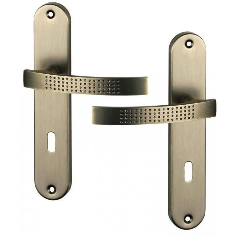 

Manijas de la puerta con el cañón de rifle mate, pomo, con llave 195mm