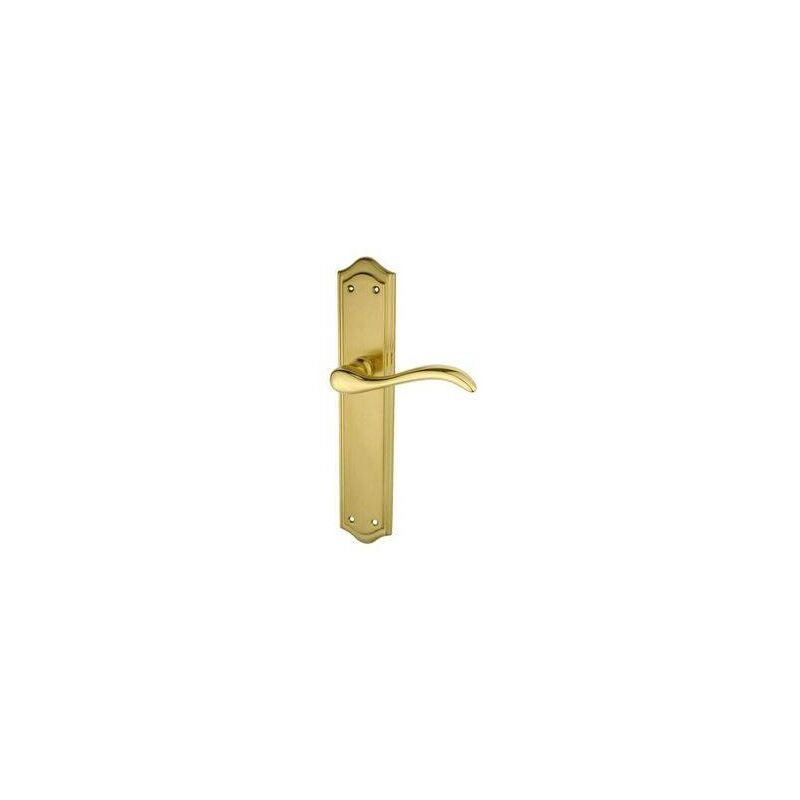 

Manilla de aluminio/Hierro Con Placa (Juego) Palmera Dorado Brillo/Satinado