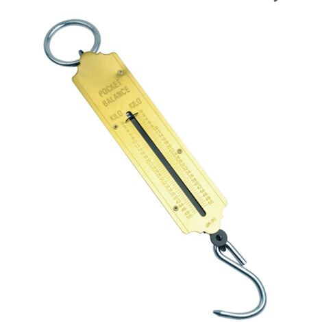 Mannesmann - M 813-100 – Bilancia a molla tascabile 100 kg