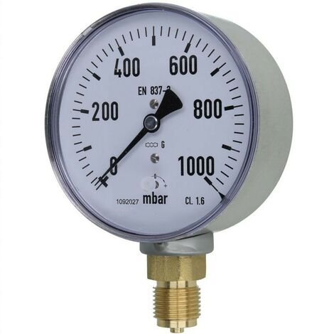 Manomètre à ressort avec capsule, gaz 0 - 1000 mbar
