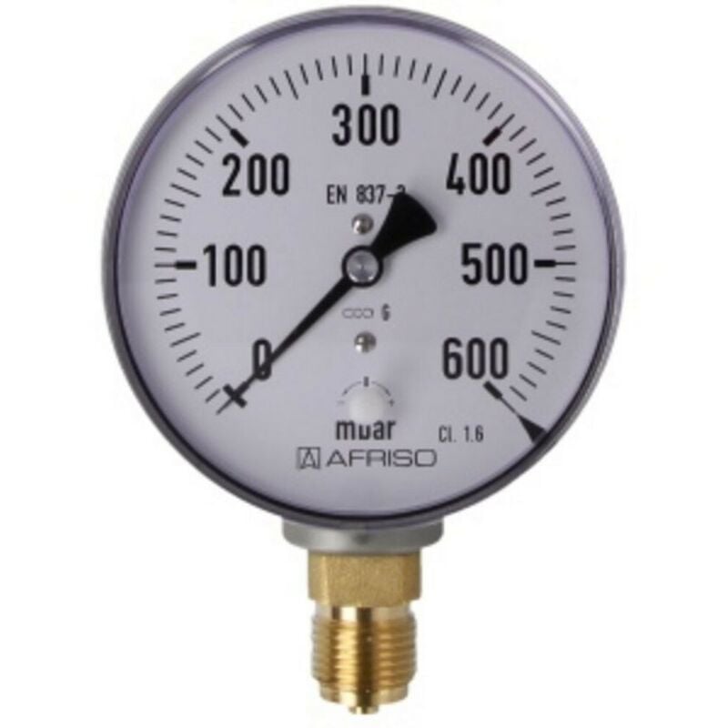 Manomètre à ressort avec capsule, gaz 0 - 600 mbar