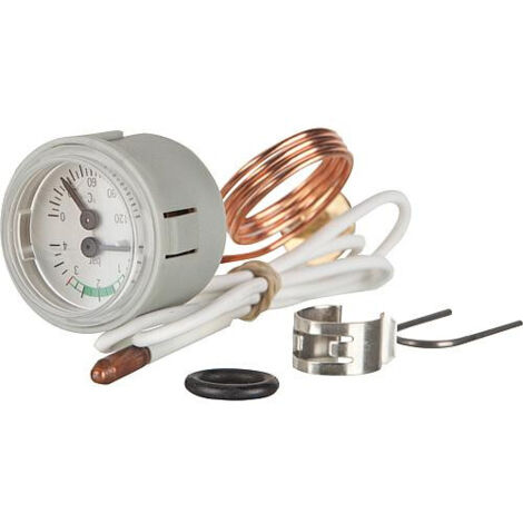 Manomètre thermique Wolf 203906699
