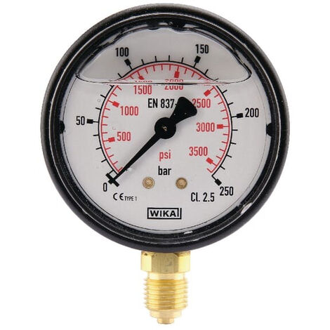 Manomètre WIKA MA63250L04PLGF