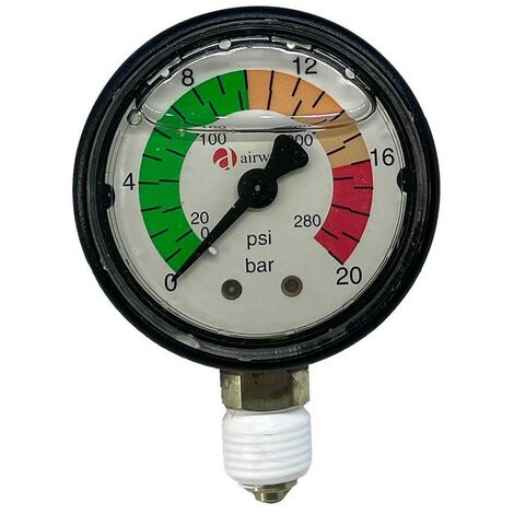 Manometro 1/4 Da 0 A 20 Bar Per Filtro Cintropur Nw500 / Nw650 / Nw800