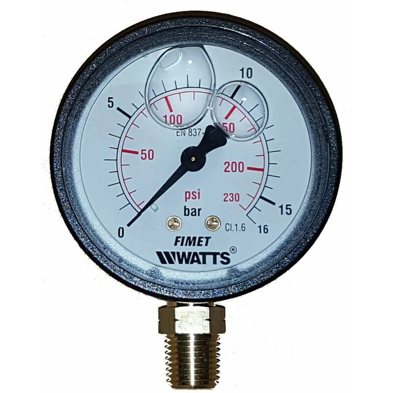 Manometro Acqua Per Autoclave 0-10 Bar - Attacco Radiale 1/4 - Scala Rotonda