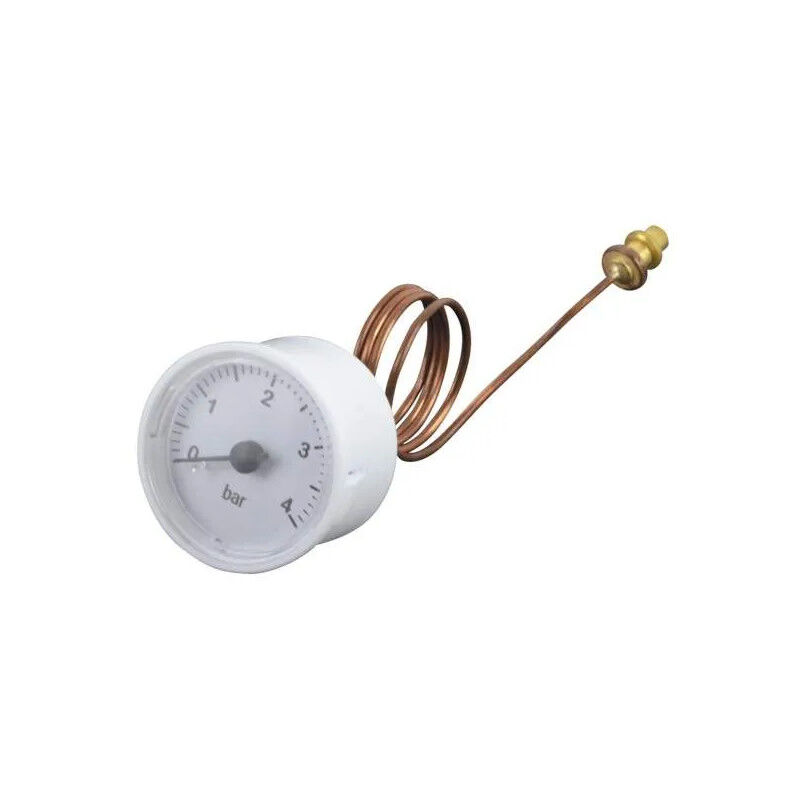 

Manómetro para la caldera Elexia.