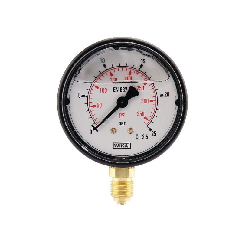 Manomètre Wika MA6325L04PLGF