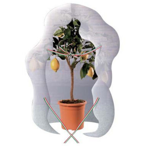 Manta Antihielo para Plantas, Manta de TNT Brixo 320x160 cm