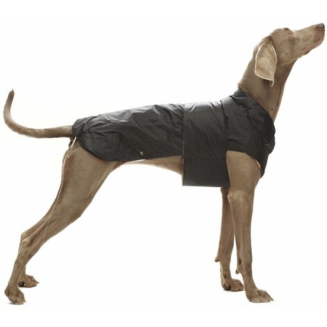 manteau 50 cm: Manteau imperméable pour lévrier MONTRÉAL noir