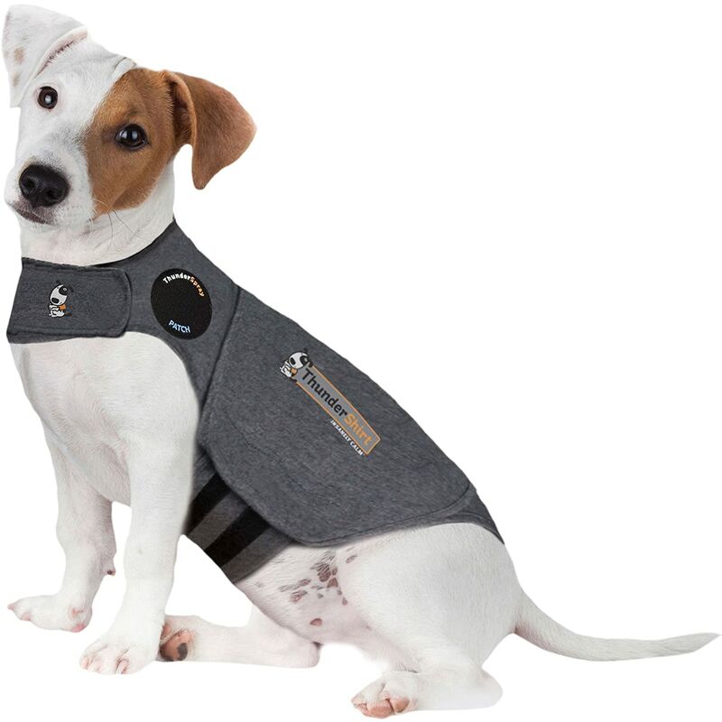 Manteau pour chien anti-anxiété (taille: petit)