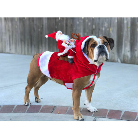 Manteau pour Chien Noel, avec Le Père Noël sur Son Chat Pull Chien Noel Rouge - XL