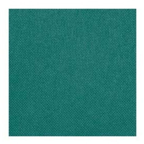 Mantel desechable Hostex  Verde hierba              Individual 35 x 55 cm
