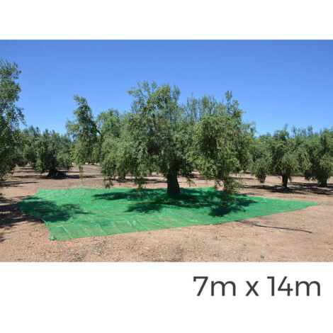 Manto para recolecta de frutos, 7x14m, color verde 75118