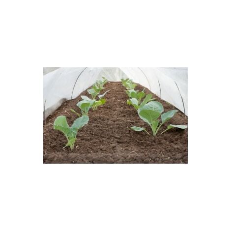 Mantas térmicas o protectores de cultivo
