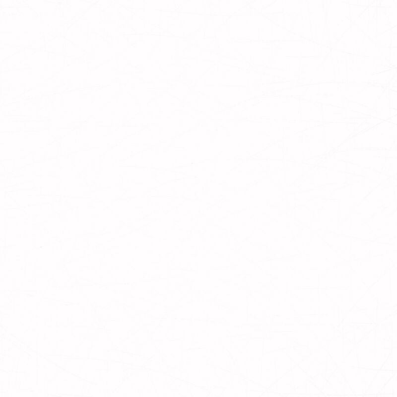 Marburg - Papier Peint Intissé Ligne Fantaisie - Blanc - réf. 55624